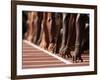 Detail of Hands at the Start of 100M Race-Steven Sutton-Framed Photographic Print