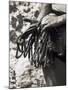 Detail of Hands with Climbing Equipments-Paul Sutton-Mounted Photographic Print