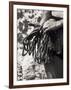 Detail of Hands with Climbing Equipments-Paul Sutton-Framed Photographic Print