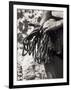 Detail of Hands with Climbing Equipments-Paul Sutton-Framed Photographic Print