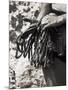 Detail of Hands with Climbing Equipments-Paul Sutton-Mounted Photographic Print