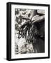 Detail of Hands with Climbing Equipments-Paul Sutton-Framed Photographic Print