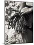 Detail of Hands with Climbing Equipments-Paul Sutton-Mounted Photographic Print