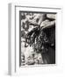 Detail of Hands with Climbing Equipments-Paul Sutton-Framed Photographic Print