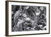 Detail of Hands-Stuart Black-Framed Photographic Print