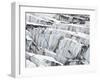 Detail of Ice Crevasses at Columbia Glacier, Alaska.-Ethan Welty-Framed Photographic Print