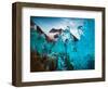 Detail of ice, Tasilak district in Greenland-null-Framed Photographic Print