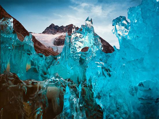 Premium Photographic Print, , large