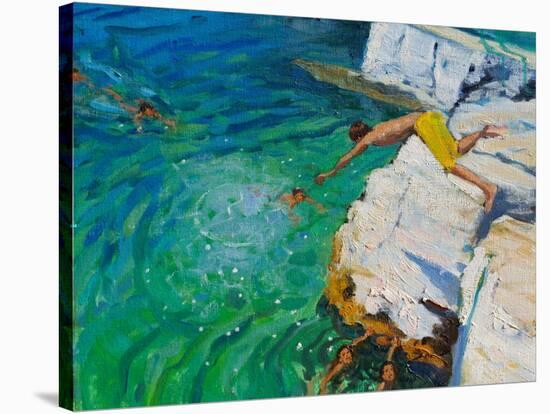 Detail of Jumping into the Sea, Plates, Skiathos, 2015-Andrew Macara-Stretched Canvas