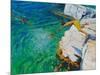 Detail of Jumping into the Sea, Plates, Skiathos, 2015-Andrew Macara-Mounted Giclee Print