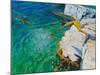 Detail of Jumping into the Sea, Plates, Skiathos, 2015-Andrew Macara-Mounted Giclee Print