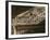 Detail of Koranic Phrase in Stucco, Casa Real (Royal Palace), Alhambra, Granada-Duncan Maxwell-Framed Photographic Print