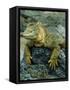 Detail of Land Iguana on Volcanic Rock, Galapagos Islands, Ecuador-Jim Zuckerman-Framed Stretched Canvas