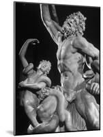 Detail of Laocoon Statue on Display in Museum-Bernard Hoffman-Mounted Photographic Print