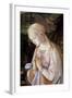 Detail of Madonna and Child with Angels-Filippino Lippi-Framed Giclee Print