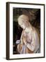 Detail of Madonna and Child with Angels-Filippino Lippi-Framed Giclee Print