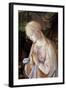 Detail of Madonna and Child with Angels-Filippino Lippi-Framed Giclee Print