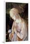 Detail of Madonna and Child with Angels-Filippino Lippi-Framed Giclee Print