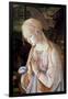 Detail of Madonna and Child with Angels-Filippino Lippi-Framed Giclee Print