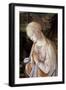 Detail of Madonna and Child with Angels-Filippino Lippi-Framed Giclee Print