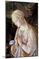 Detail of Madonna and Child with Angels-Filippino Lippi-Mounted Giclee Print