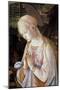 Detail of Madonna and Child with Angels-Filippino Lippi-Mounted Giclee Print
