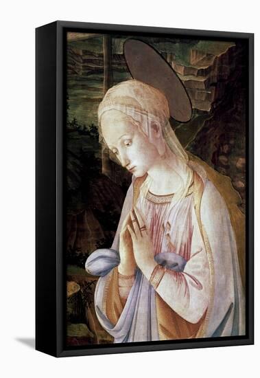 Detail of Madonna and Child with Angels-Filippino Lippi-Framed Stretched Canvas