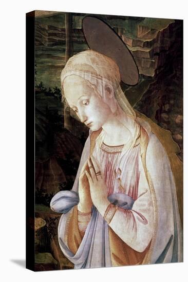 Detail of Madonna and Child with Angels-Filippino Lippi-Stretched Canvas