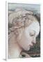 Detail of Madonna and Child-Filippino Lippi-Framed Giclee Print