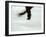 Detail of Male Figure Skater's Legs and Boots Spinning-Steven Sutton-Framed Photographic Print