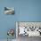 Detail of Male Gymnast Competing on the Pommel Horse, Athens, Greece-Steven Sutton-Photographic Print displayed on a wall