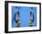 Detail of Male Gymnast Competing on the Rings, Athens, Greece-Steven Sutton-Framed Photographic Print