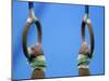 Detail of Male Gymnast Competing on the Rings, Athens, Greece-Steven Sutton-Mounted Photographic Print