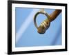 Detail of Male Gymnast Competing on the Rings, Athens, Greece-Steven Sutton-Framed Photographic Print