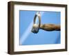 Detail of Male Gymnast Competing on the Rings, Athens, Greece-Steven Sutton-Framed Photographic Print