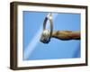 Detail of Male Gymnast Competing on the Rings, Athens, Greece-Steven Sutton-Framed Photographic Print