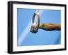 Detail of Male Gymnast Competing on the Rings, Athens, Greece-Steven Sutton-Framed Photographic Print