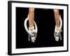 Detail of Male Gymnasts Hands on the Rings-Paul Sutton-Framed Photographic Print