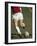 Detail of Male Soccer Player with the Ball-null-Framed Photographic Print