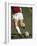 Detail of Male Soccer Player with the Ball-null-Framed Photographic Print