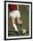 Detail of Male Soccer Player with the Ball-null-Framed Photographic Print