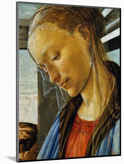 Detail of Mary from Madonna of the Eucharist-Sandro Botticelli-Mounted Giclee Print