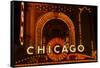 Detail of Neon Sign on Chicago Theater, Chicago, Illinois-null-Framed Stretched Canvas