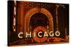 Detail of Neon Sign on Chicago Theater, Chicago, Illinois-null-Stretched Canvas