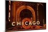 Detail of Neon Sign on Chicago Theater, Chicago, Illinois-null-Mounted Photographic Print