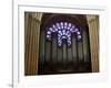 Detail of Notre Dame Cathedral Pipe Organ and Stained Glass Window, Paris, France-Jim Zuckerman-Framed Photographic Print