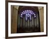 Detail of Notre Dame Cathedral Pipe Organ and Stained Glass Window, Paris, France-Jim Zuckerman-Framed Photographic Print