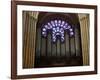 Detail of Notre Dame Cathedral Pipe Organ and Stained Glass Window, Paris, France-Jim Zuckerman-Framed Photographic Print