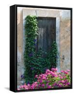 Detail of Old House, Assos, Kefalonia, Ionian Islands, Greece-Walter Bibikow-Framed Stretched Canvas