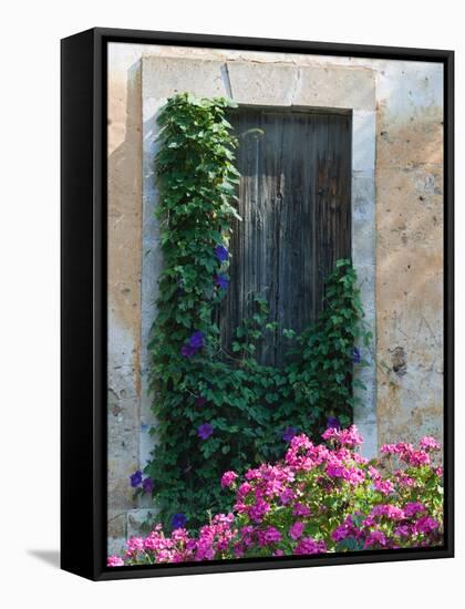 Detail of Old House, Assos, Kefalonia, Ionian Islands, Greece-Walter Bibikow-Framed Stretched Canvas